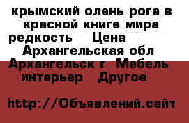 крымский олень рога в красной книге мира редкость  › Цена ­ 20 000 - Архангельская обл., Архангельск г. Мебель, интерьер » Другое   